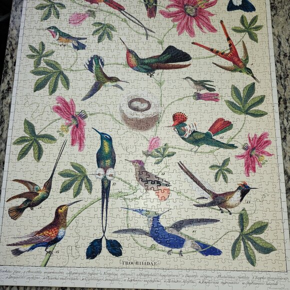 Cavallini Hummingbird Puzzle 1000 Pieces - Picture 2 of 3